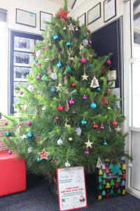 Photo of christmas tree at Cornish College, given by Evergreen Christmas Trees
